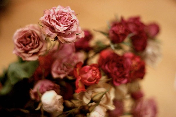 [تصویر:  decorate-your-house-with-dried-flowers-10.jpg]