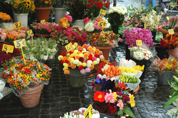 قیمت انواع گل بازار گل و گل فروشی